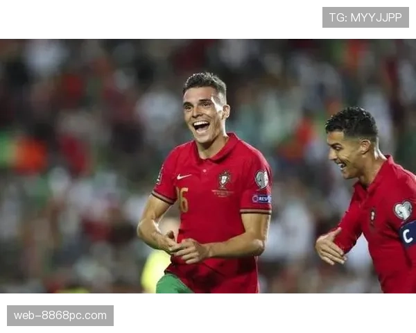 葡萄牙国家队主力后腰：帕利尼亚的国家队地位